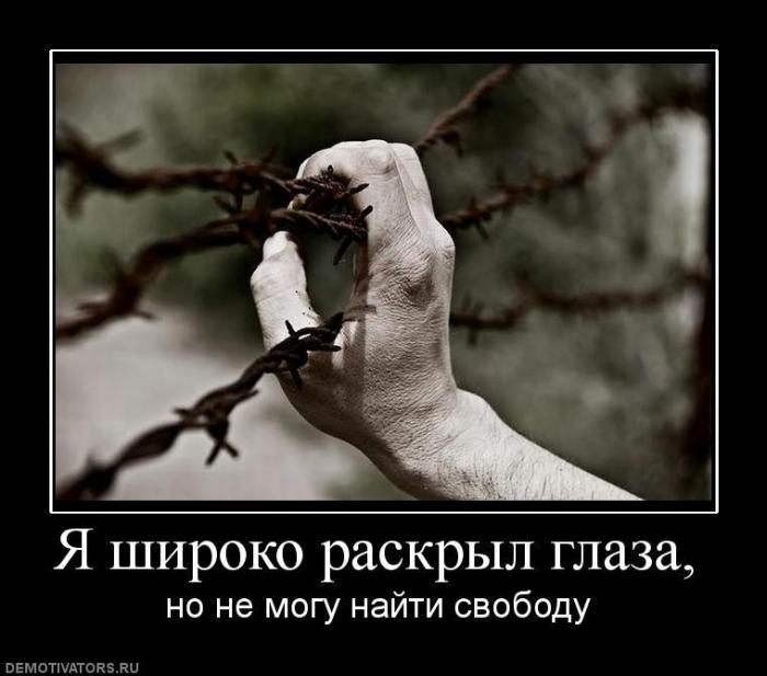 Демотиваторы (73 фото)