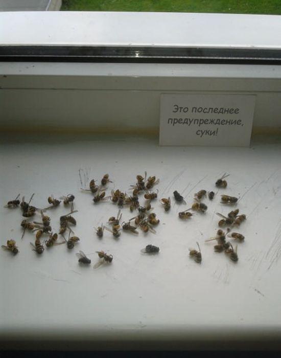 Прикольные картинки (40 фото)