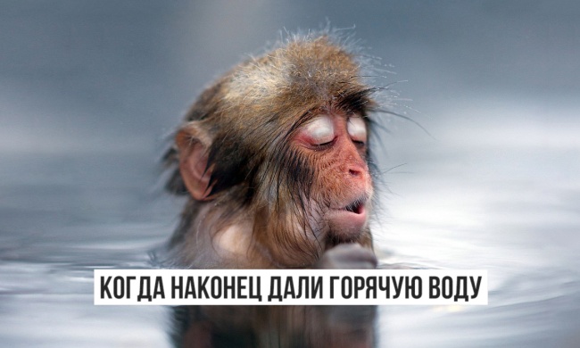 Простые моменты из жизни, которые радуют нас Простые моменты из жизни, которые радуют нас