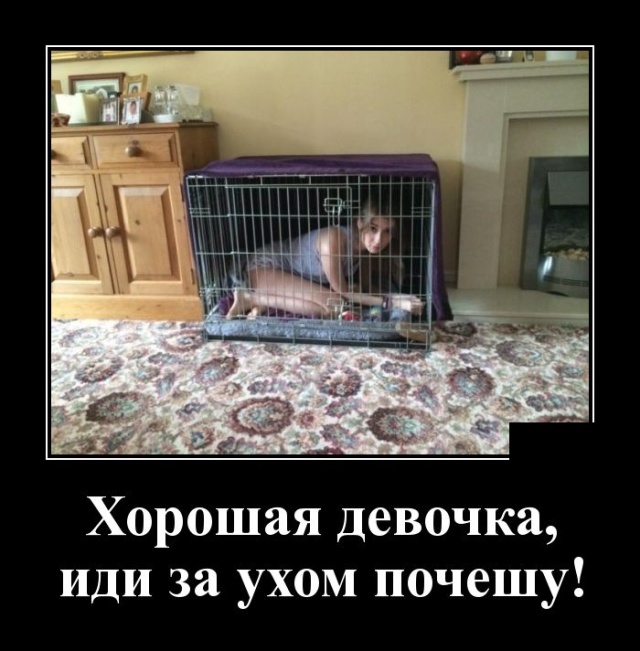 Демотиваторы