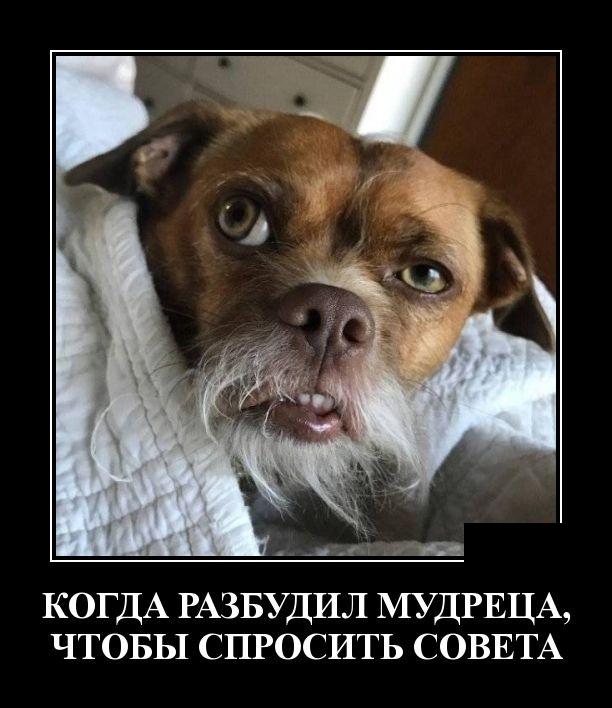 Демотиваторы