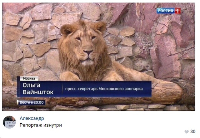 Прикольные картинки