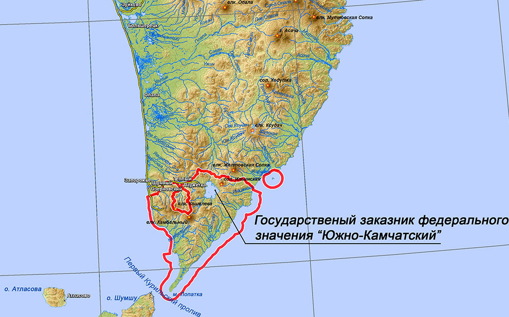 Медведи на Камчатке Медведи на Камчатке