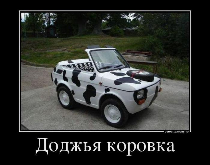 Демотиваторы (85 фото)