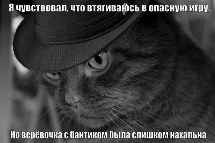 Порция картинок