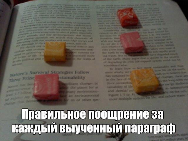 Мотивационные фото, которые работают лучше социальных реклам