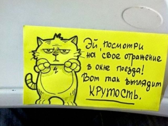 Мотивационные фото, которые работают лучше социальных реклам