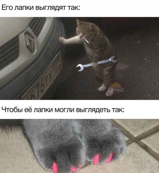 Странный и нестандартный юмор