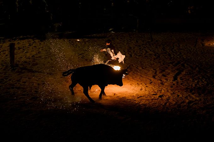 Жестокая забава - Toro de Jubilo Жестокая забава - Toro de Jubilo