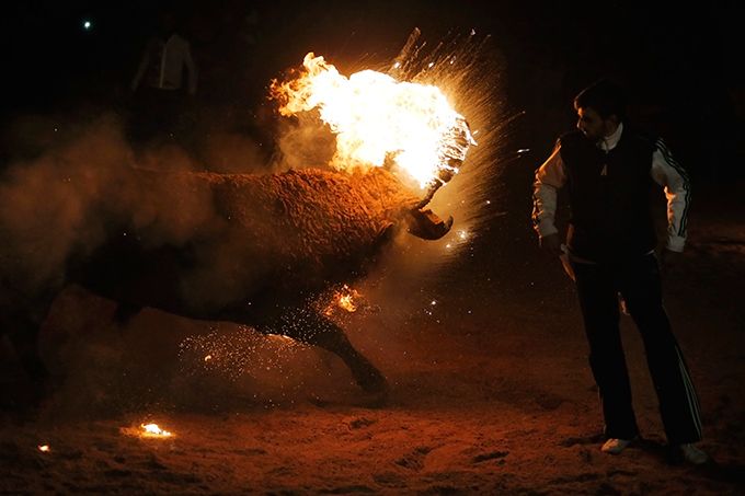 Жестокая забава - Toro de Jubilo Жестокая забава - Toro de Jubilo