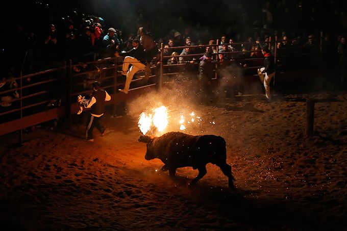 Жестокая забава - Toro de Jubilo Жестокая забава - Toro de Jubilo