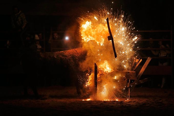 Жестокая забава - Toro de Jubilo Жестокая забава - Toro de Jubilo