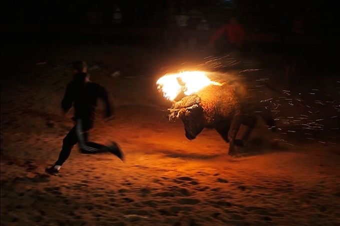Жестокая забава - Toro de Jubilo Жестокая забава - Toro de Jubilo