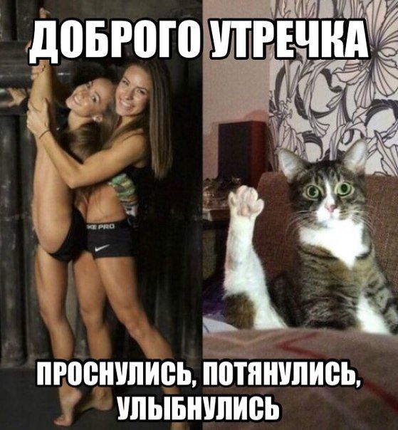 Прикольные картинки (83 фото)