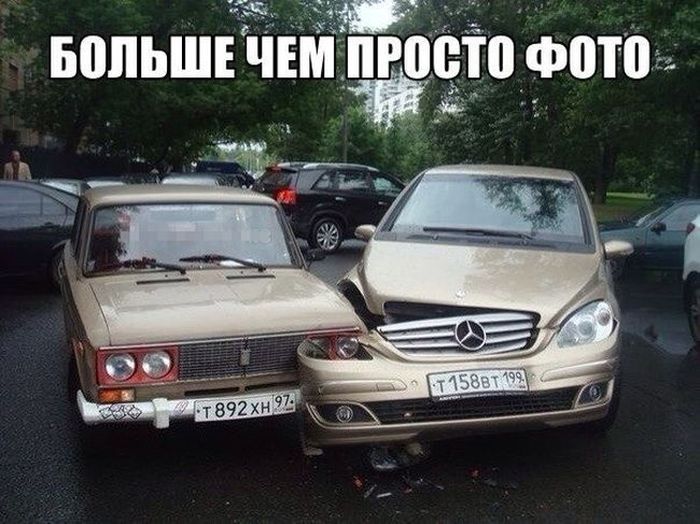 Прикольные картинки (83 фото)