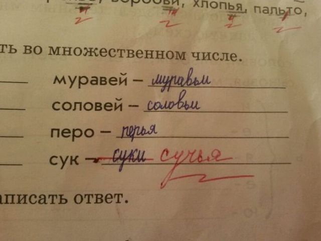 Смешные вывески и объявления