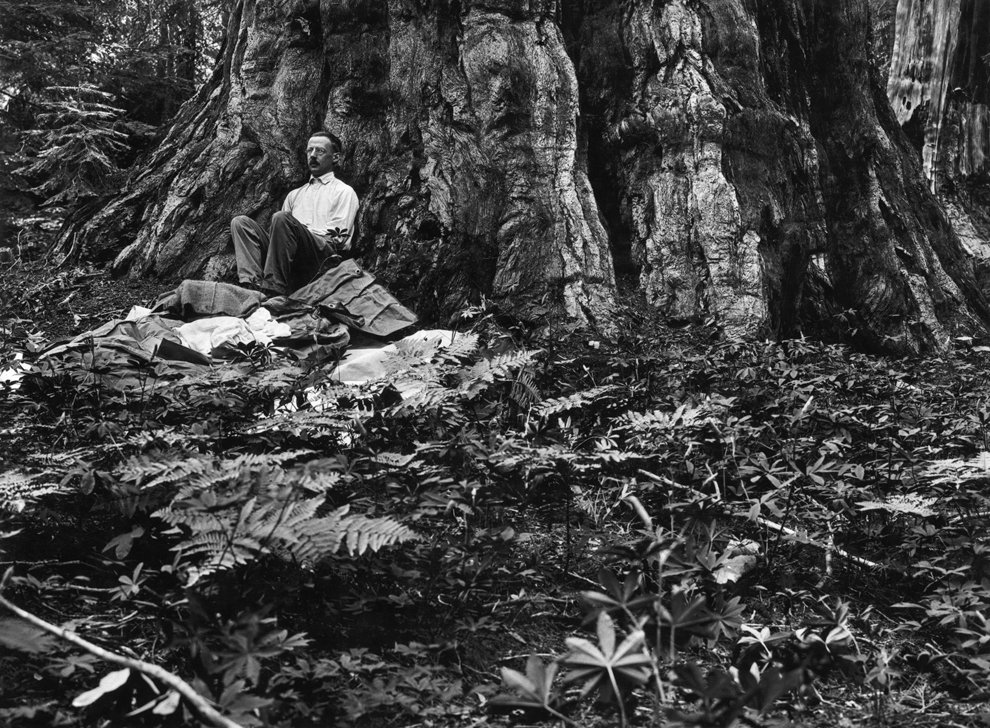 125 лет журналу National Geographic 125 лет журналу National Geographic