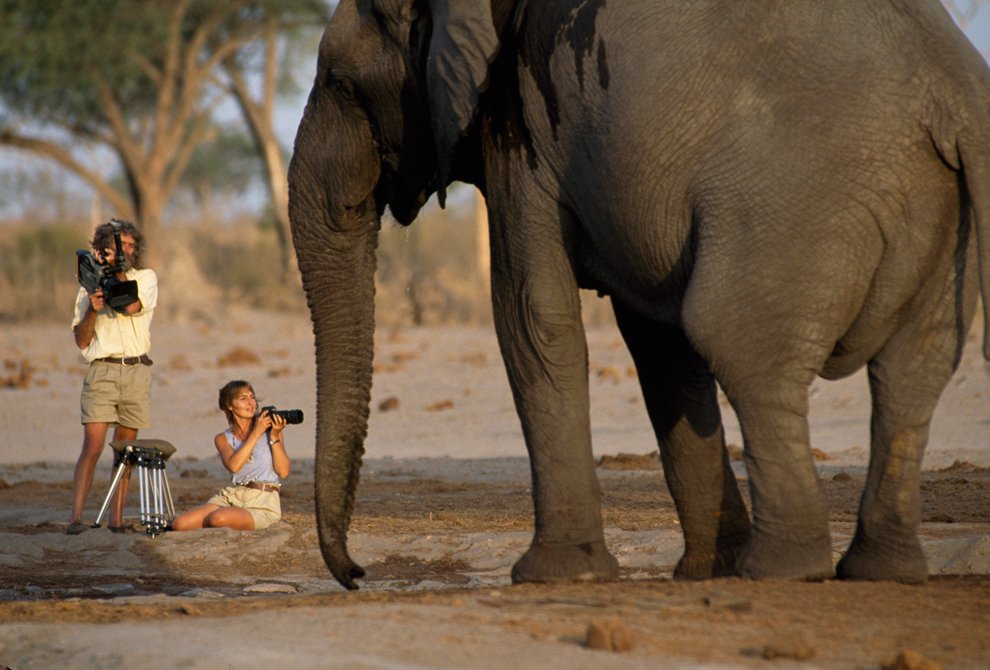 125 лет журналу National Geographic 125 лет журналу National Geographic