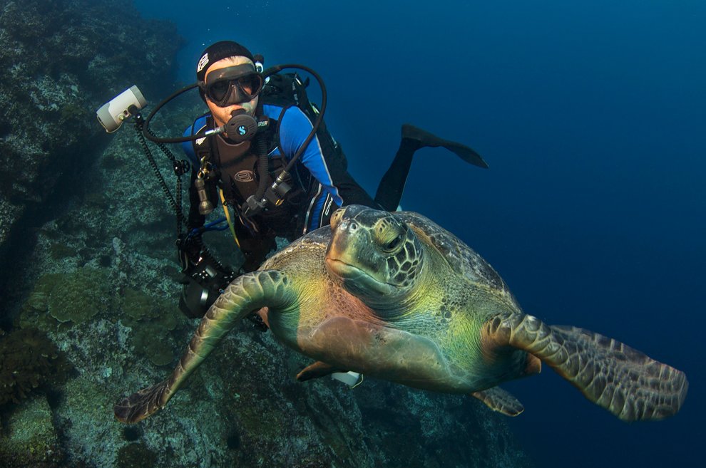 125 лет журналу National Geographic 125 лет журналу National Geographic