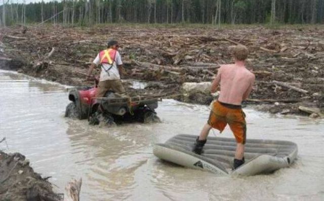 Прикольные картинки (54 фото)