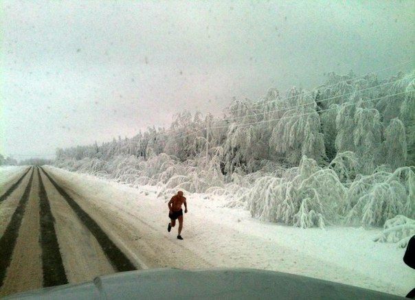 Прикольные картинки (54 фото)