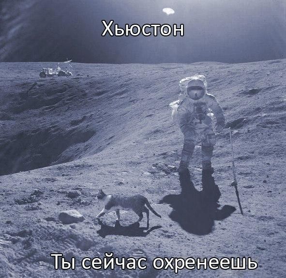 Прикольные картинки (54 фото)