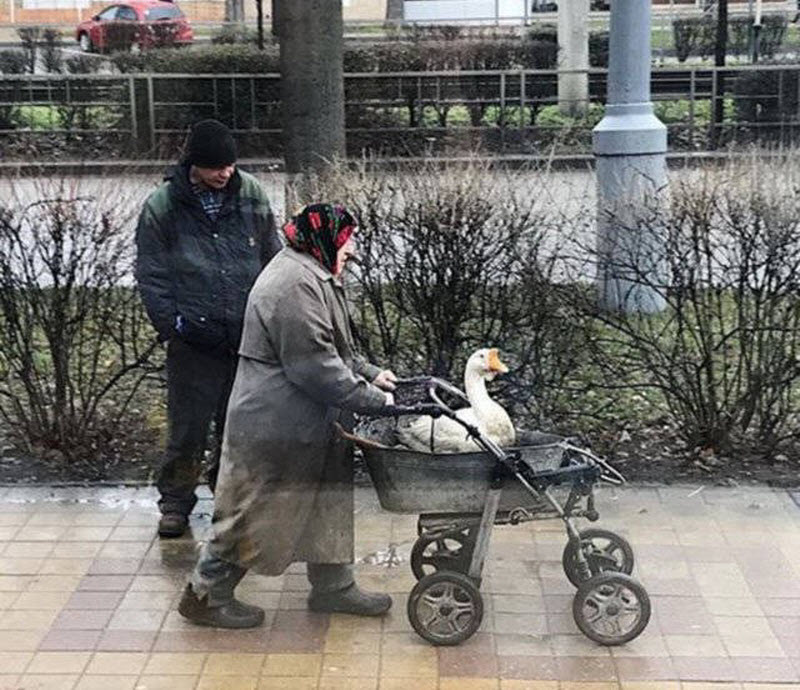 Удивительные снимки с российских просторов