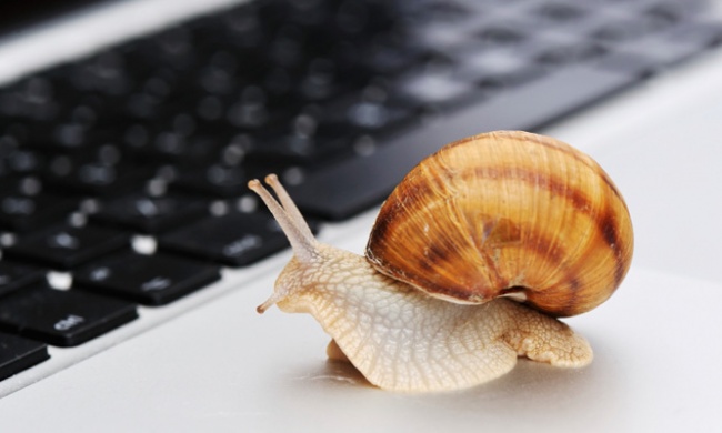 Почему надо работать медленно, а не много Почему надо работать медленно, а не много