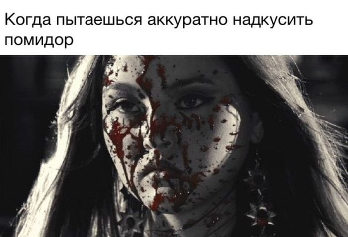 Порция картинок