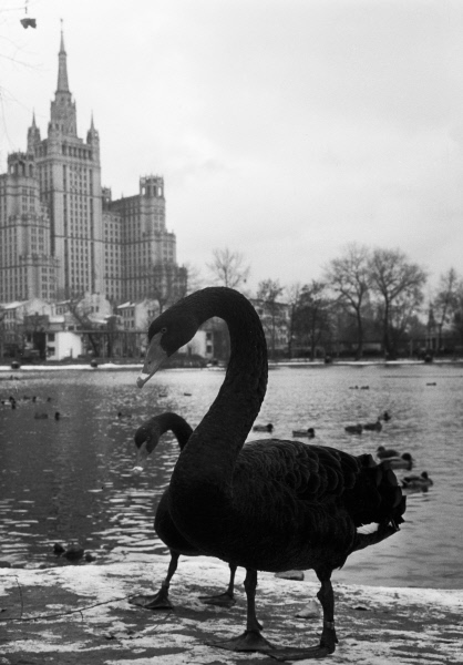 Московскому зоопарку 154 года