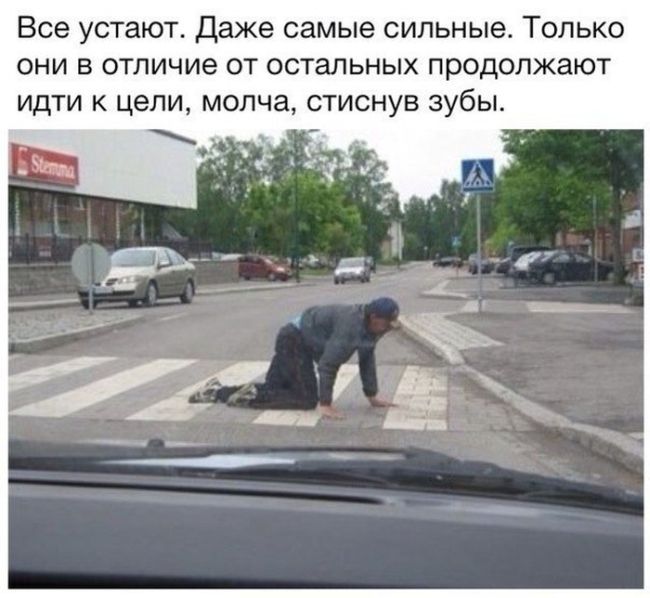 Порция картинок