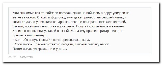 Смешные комментарии из социальных сетей