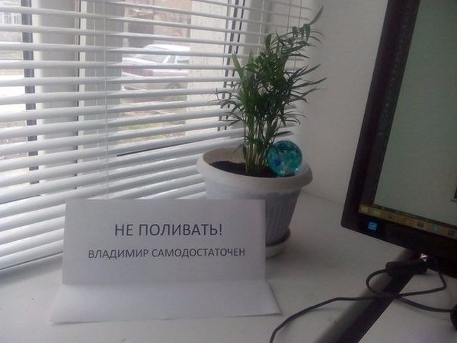 20 табличек и объявлений, которые такие же сумасшедшие, как наша жизнь 20 табличек и объявлений, которые такие же сумасшедшие, как наша жизнь
