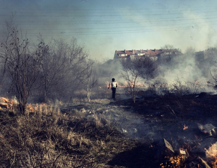 Повседневная жизнь польских цыган Повседневная жизнь польских цыган