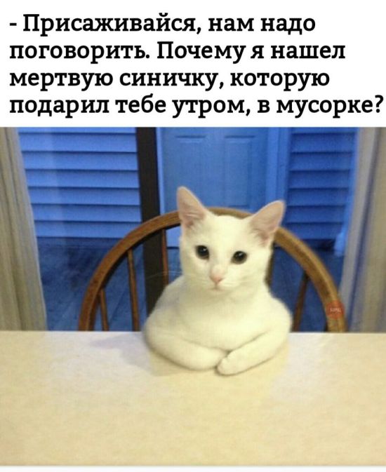 Прикольные картинки