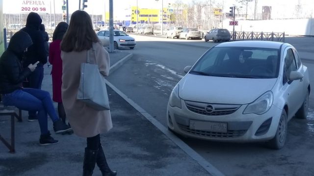 Прикольные картинки