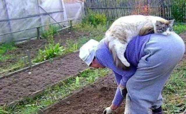 Только у нас в России (50 фото)
