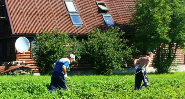 Только у нас в России (50 фото)