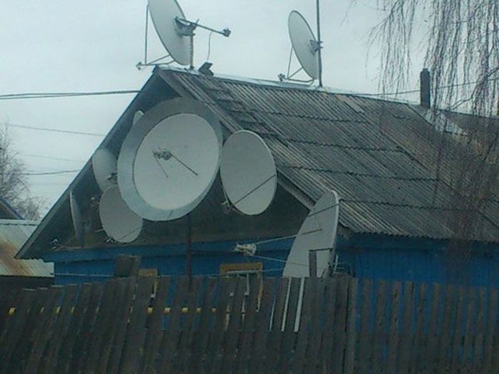 Прикольные картинки