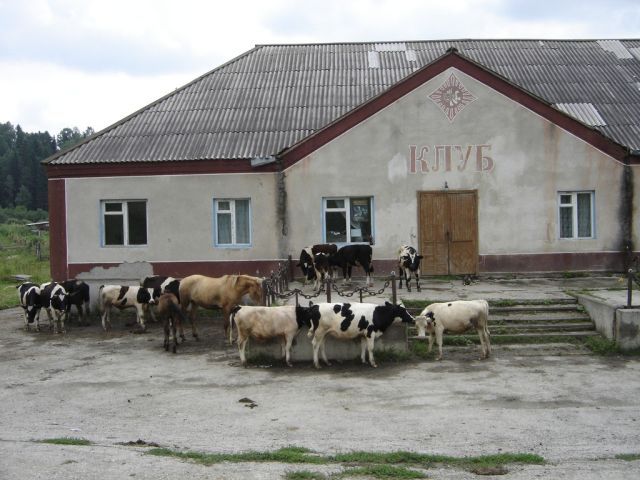 Колоритные фото из деревни
