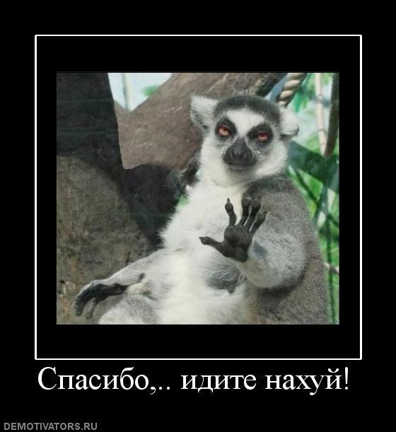 Демотиваторы (57 фото)