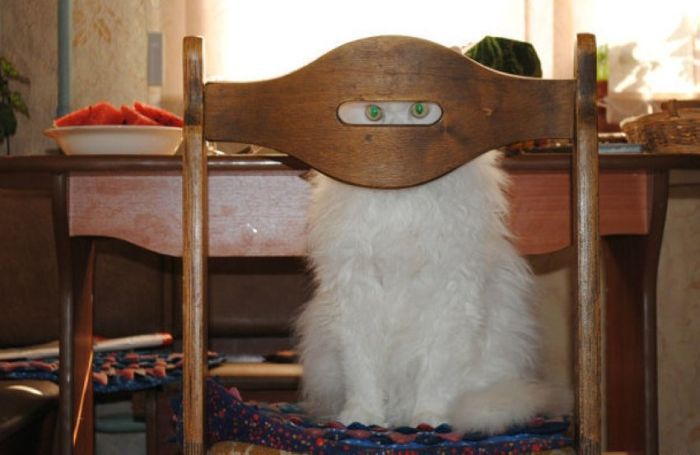 Прикольные картинки