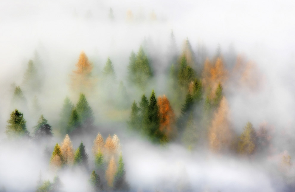 Осенние пейзажи 2014 Осенние пейзажи 2014