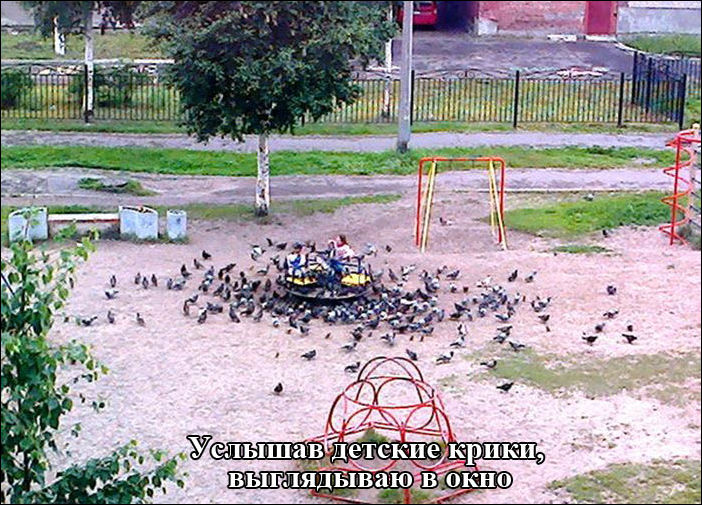 Кучка картинок