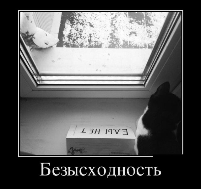 Демотиваторы