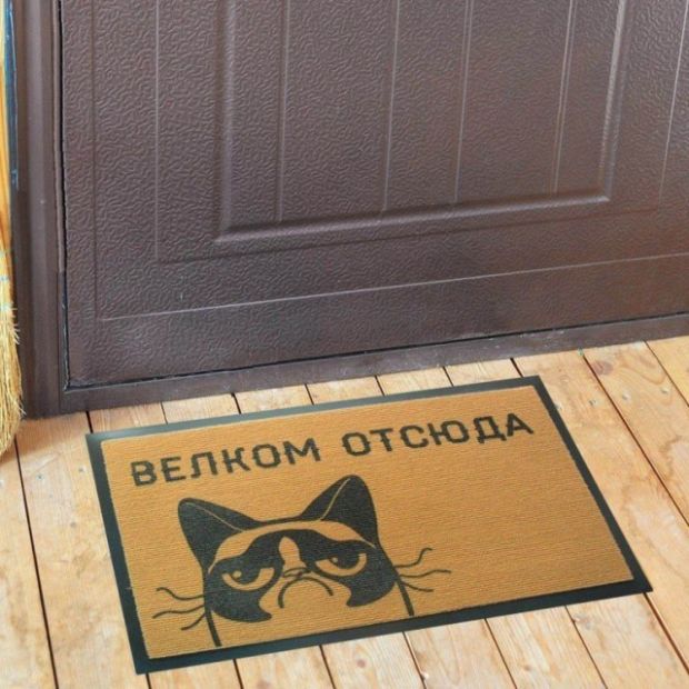 Прикольные картинки