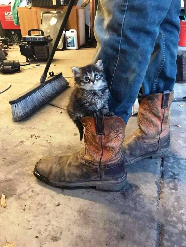 Прикольные картинки