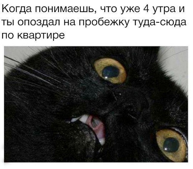 Юмор без смысловой нагрузки