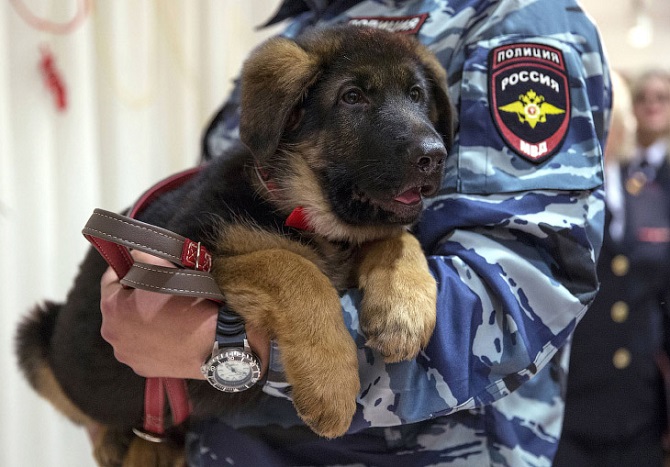 Добрые фотографии 2015 Добрые фотографии 2015