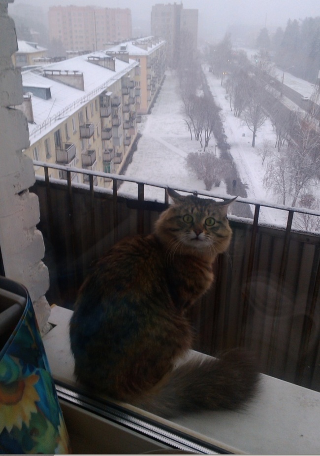 Если все еще считаете, что плохо переносите зиму, просто посмотрите эти 27 фото Если все еще считаете, что плохо переносите зиму, просто посмотрите эти 27 фото